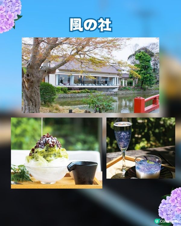 初夏限定🎐鎌倉繡球花甜品5選💙💜會變色的刨冰😳⁉️