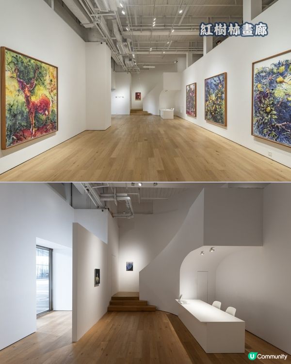 南山必去七間藝術館🎨🎭