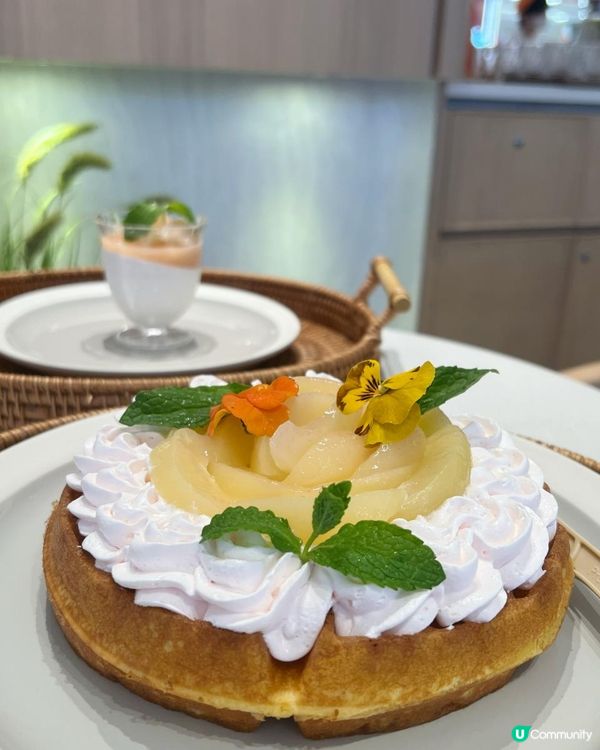 ｛沙田美食韓國菜｝Terrace in Seaside 