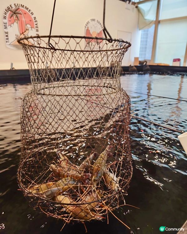 天陰陰雨濕濕💦最好就是在室內玩啦!這次來到了沙田石門的HAB...