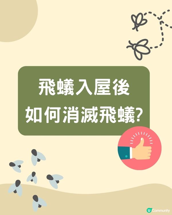 飛蟻變白蟻｜預防飛蟻｜最有效消滅飛蟻方法+ 6招預防飛蟻方法
