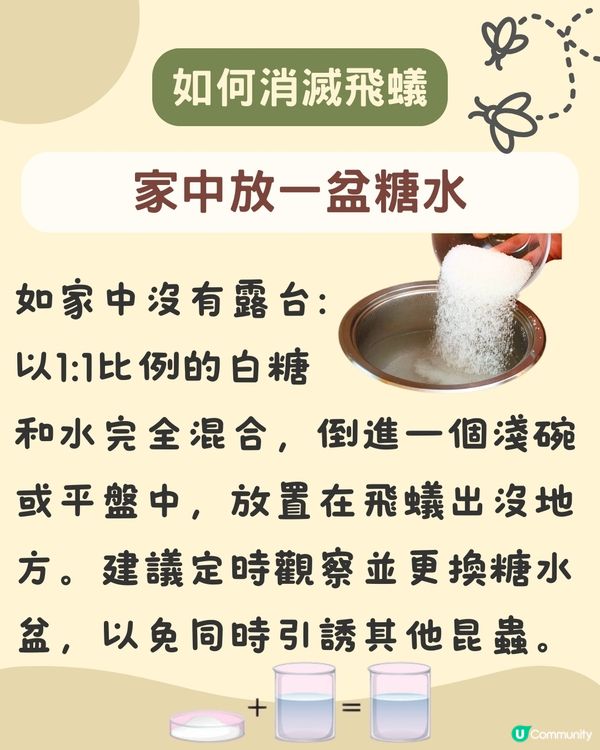 飛蟻變白蟻｜預防飛蟻｜最有效消滅飛蟻方法+ 6招預防飛蟻方法