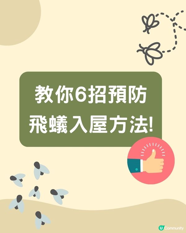 飛蟻變白蟻｜預防飛蟻｜最有效消滅飛蟻方法+ 6招預防飛蟻方法