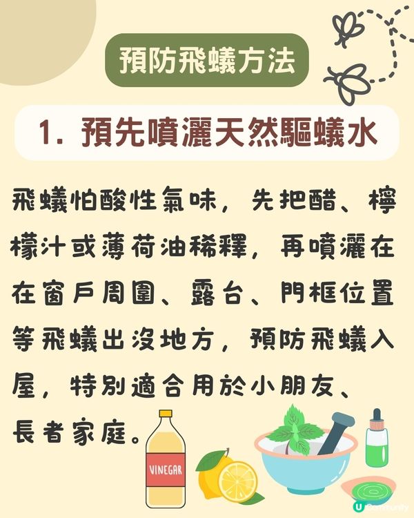 飛蟻變白蟻｜預防飛蟻｜最有效消滅飛蟻方法+ 6招預防飛蟻方法