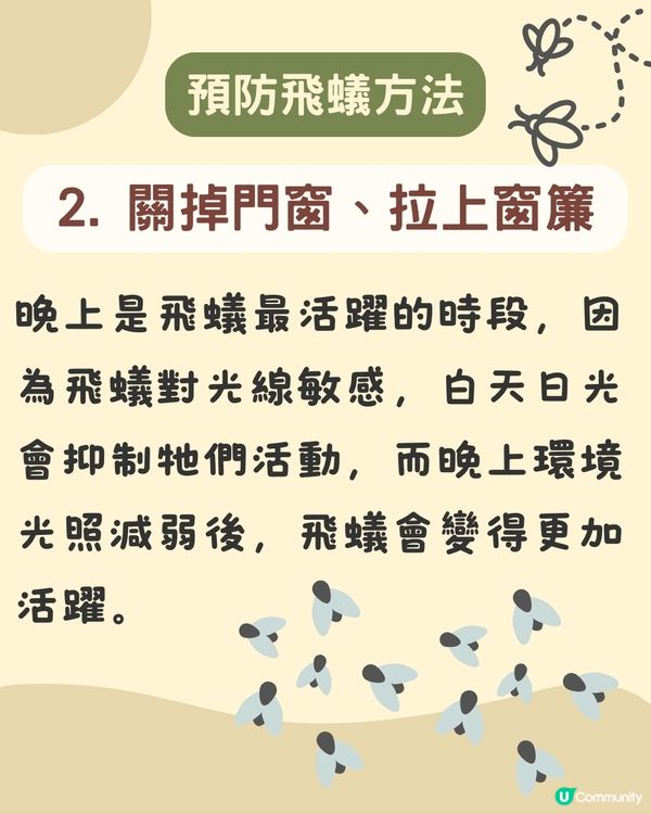 飛蟻變白蟻｜預防飛蟻｜最有效消滅飛蟻方法+ 6招預防飛蟻方法