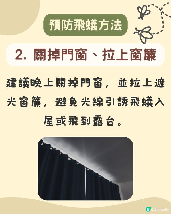飛蟻變白蟻｜預防飛蟻｜最有效消滅飛蟻方法+ 6招預防飛蟻方法