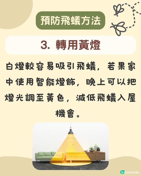 飛蟻變白蟻｜預防飛蟻｜最有效消滅飛蟻方法+ 6招預防飛蟻方法