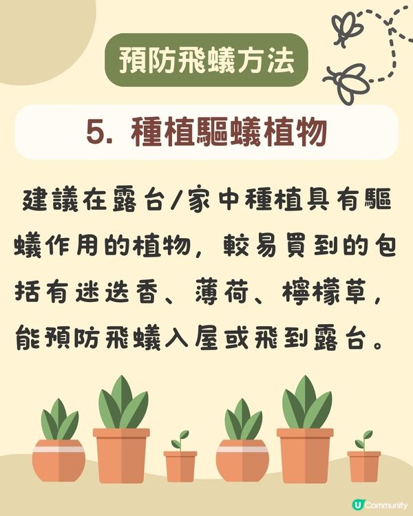 飛蟻變白蟻｜預防飛蟻｜最有效消滅飛蟻方法+ 6招預防飛蟻方法