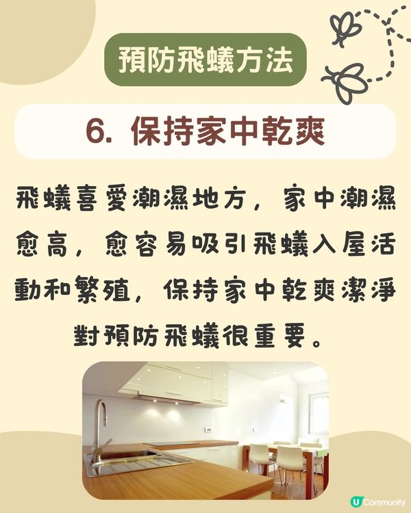 飛蟻變白蟻｜預防飛蟻｜最有效消滅飛蟻方法+ 6招預防飛蟻方法