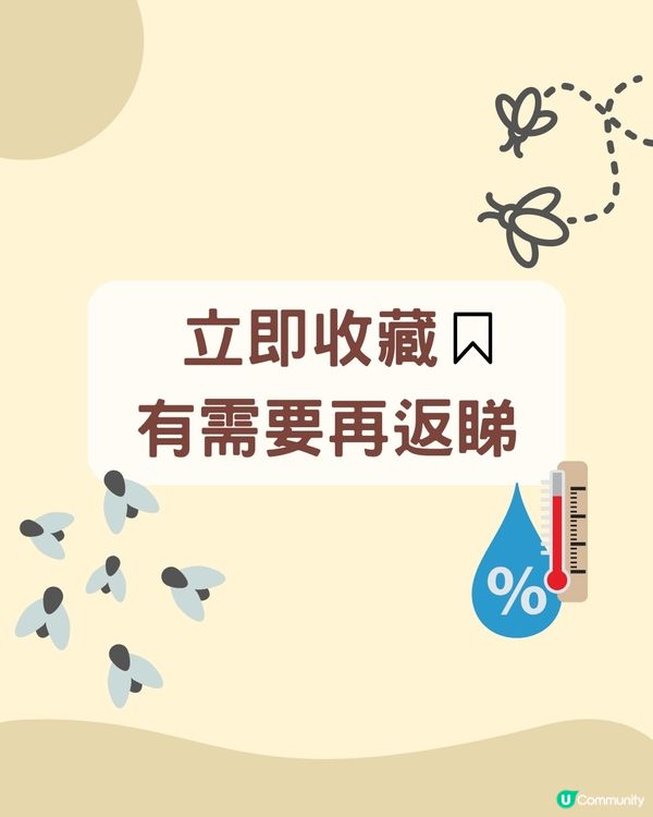飛蟻變白蟻｜預防飛蟻｜最有效消滅飛蟻方法+ 6招預防飛蟻方法