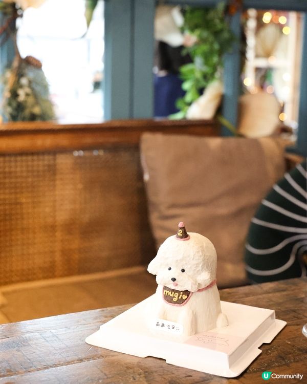 生日蛋糕🫶🏻