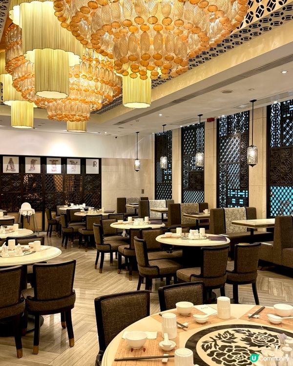 米芝連粥麵專門店