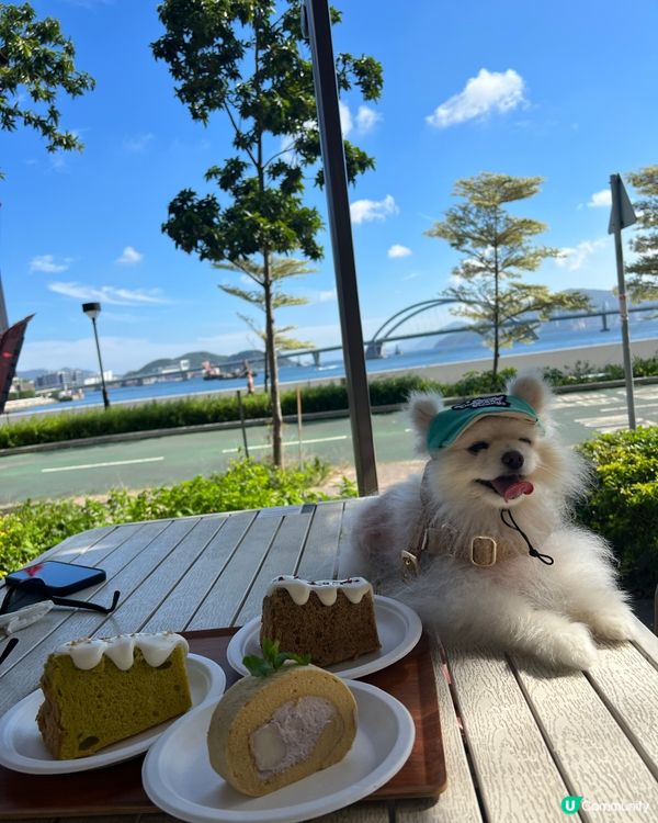 dog friendly cafe 🍵 