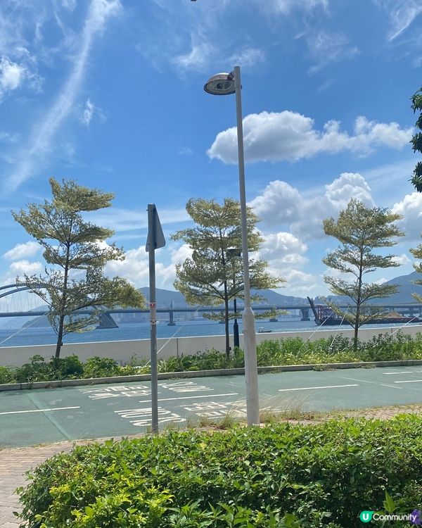 dog friendly cafe 🍵 