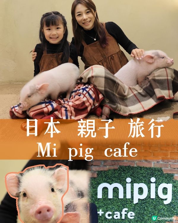 日本親子遊攻略 🐷🐽Mi Pig cafe 