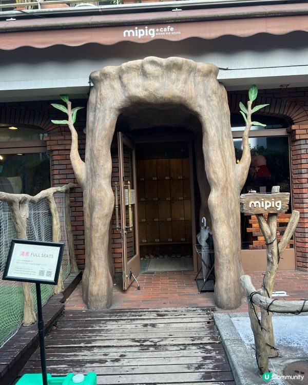 日本親子遊攻略 🐷🐽Mi Pig cafe 