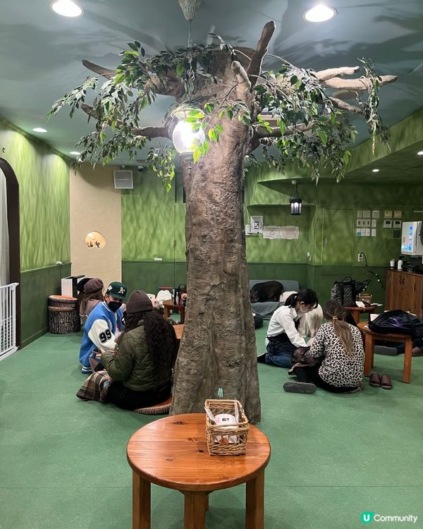 日本親子遊攻略 🐷🐽Mi Pig cafe 