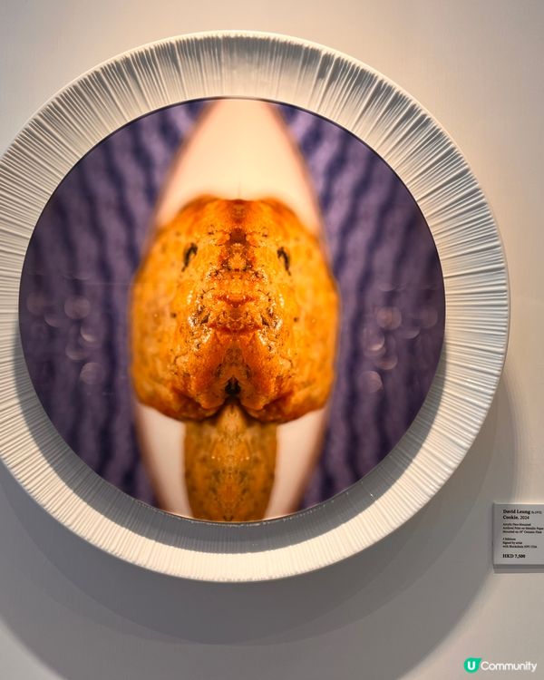 很有趣的「把美食變成面孔」展覽，你看得出由什麼食物變出來嗎？