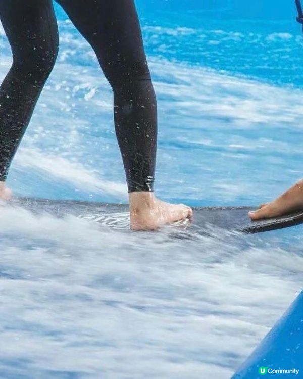 深圳奇妙世界之旅🥳