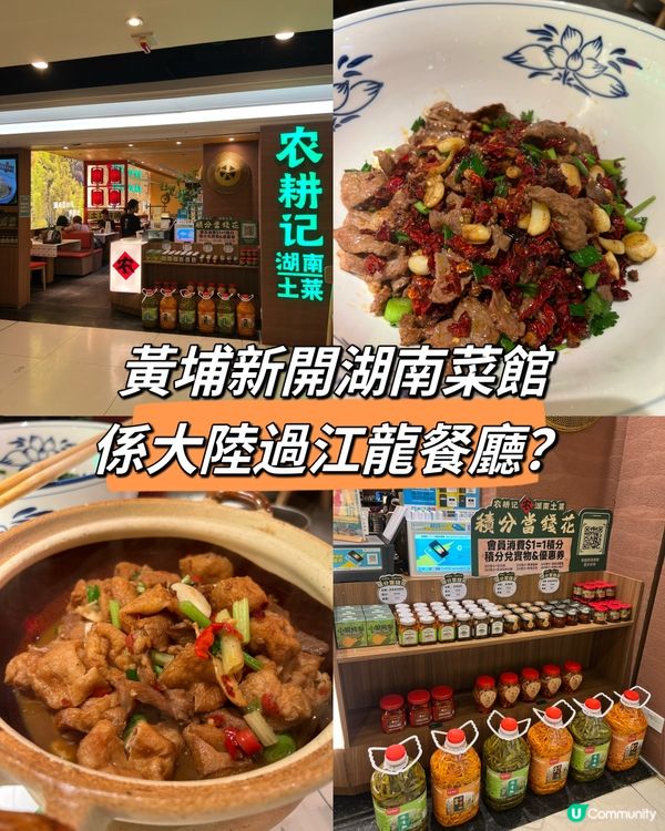 黃埔新開湖南菜，係大陸過江龍餐廳？