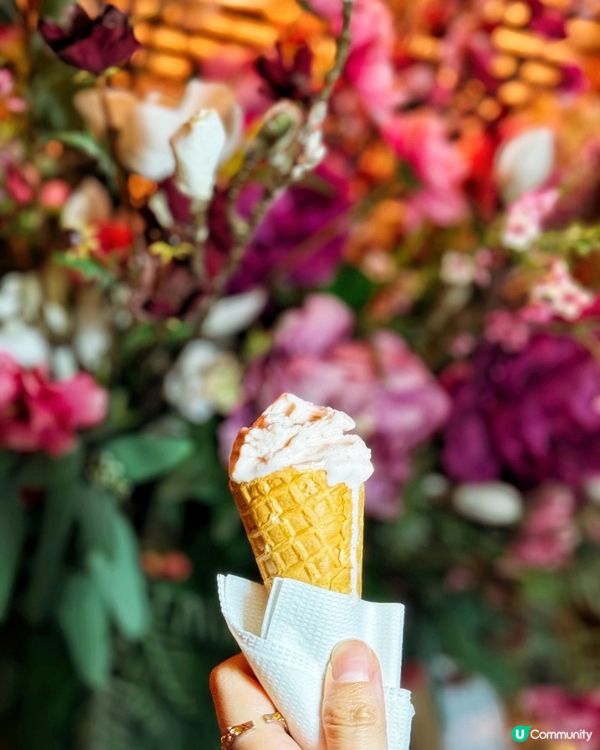 ⛲️ 優雅氣氛• 𝐭𝐡𝐞 𝐌𝐮𝐫𝐫𝐚𝐲下午茶