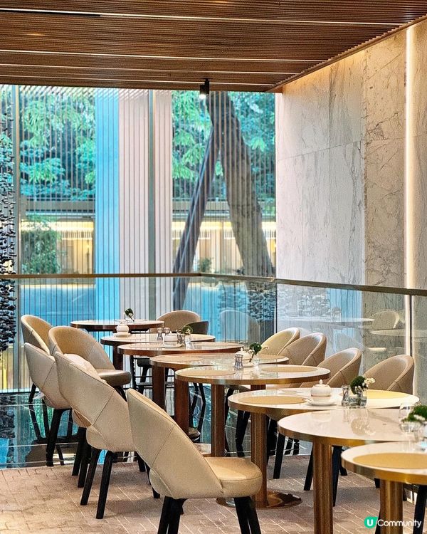 ⛲️ 優雅氣氛• 𝐭𝐡𝐞 𝐌𝐮𝐫𝐫𝐚𝐲下午茶