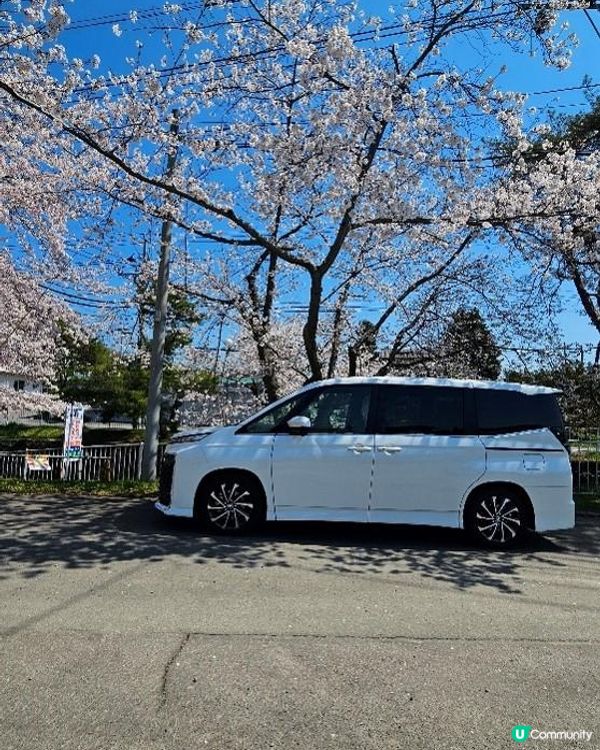 [日本租車] #4車型介紹– Toyota Voxy