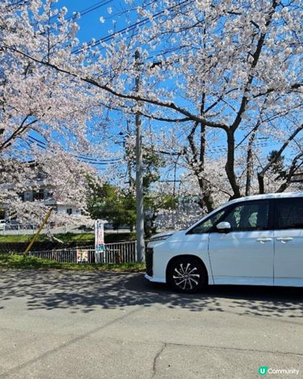 [日本租車] #4車型介紹– Toyota Voxy