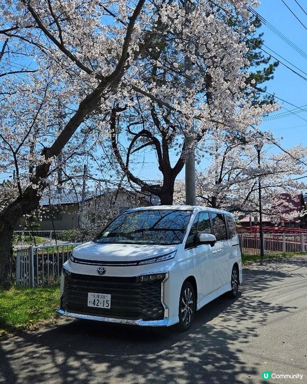 [日本租車] #4車型介紹– Toyota Voxy