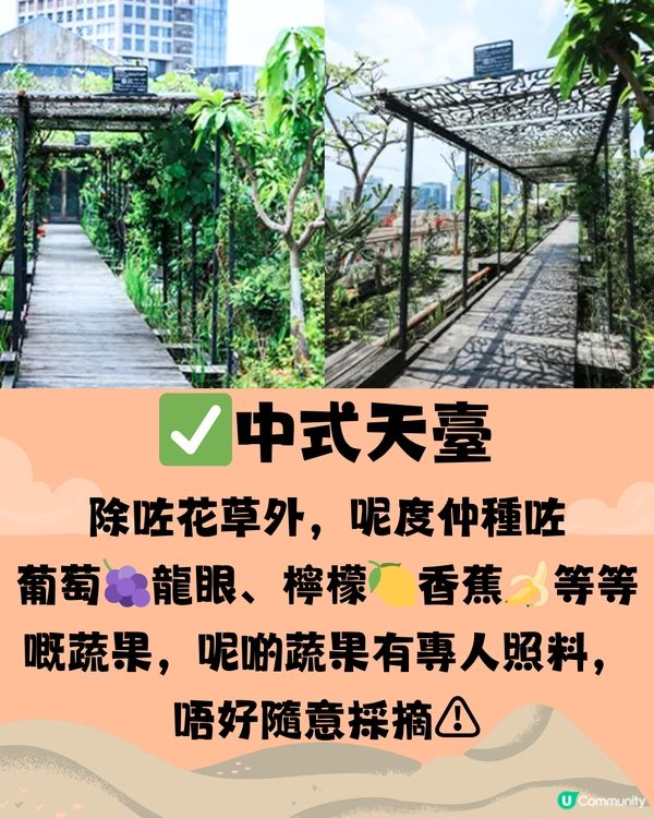 深圳錢江藝術中心🖼️🏯穿越古今中外一日遊🎒附交通教學🚕