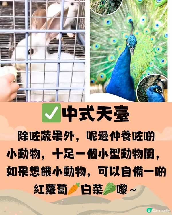 深圳錢江藝術中心🖼️🏯穿越古今中外一日遊🎒附交通教學🚕