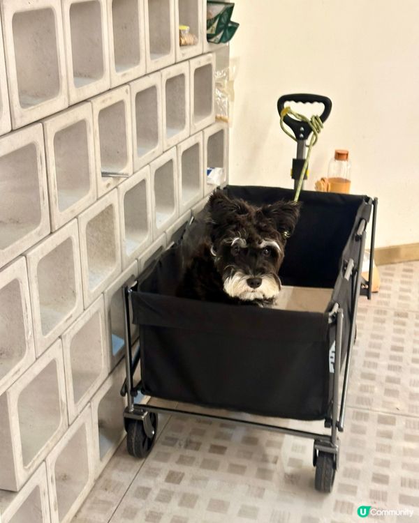 🍓深圳隱世韓系ins風cafe🧇