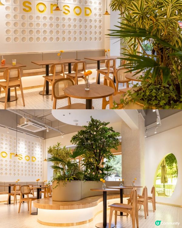 🍓深圳隱世韓系ins風cafe🧇