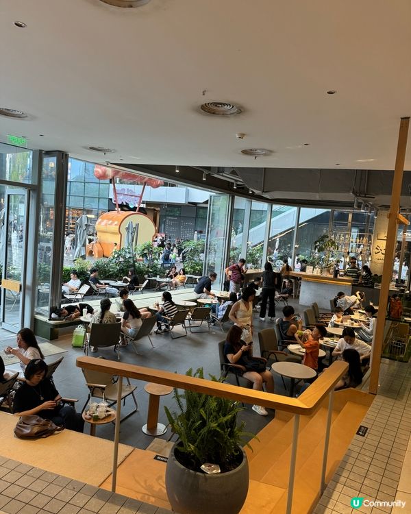 全南山區至高級的山系咖啡店☕️山池SAANCI