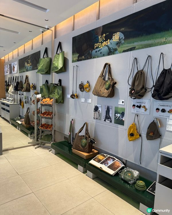 全南山區至高級的山系咖啡店☕️山池SAANCI