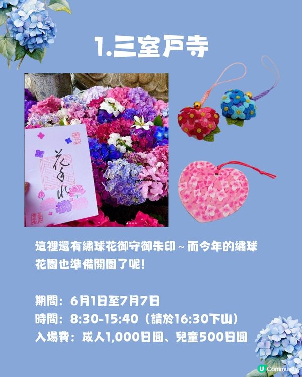 京都7大繡球花觀賞地😍10萬棵繡球花超震撼 西日本最大規模💙