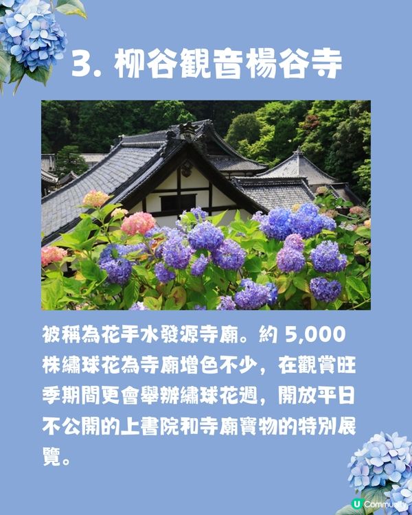 京都7大繡球花觀賞地😍10萬棵繡球花超震撼 西日本最大規模💙