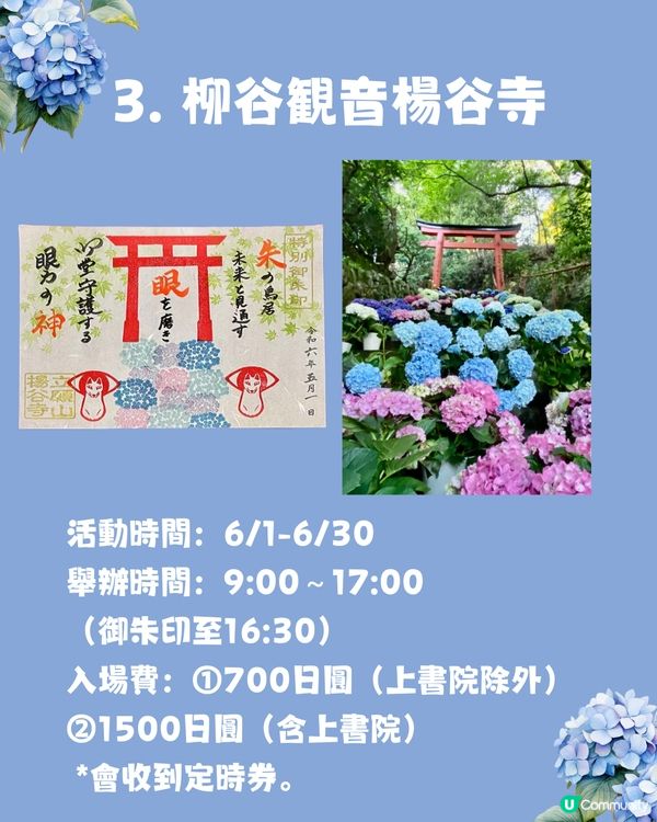 京都7大繡球花觀賞地😍10萬棵繡球花超震撼 西日本最大規模💙