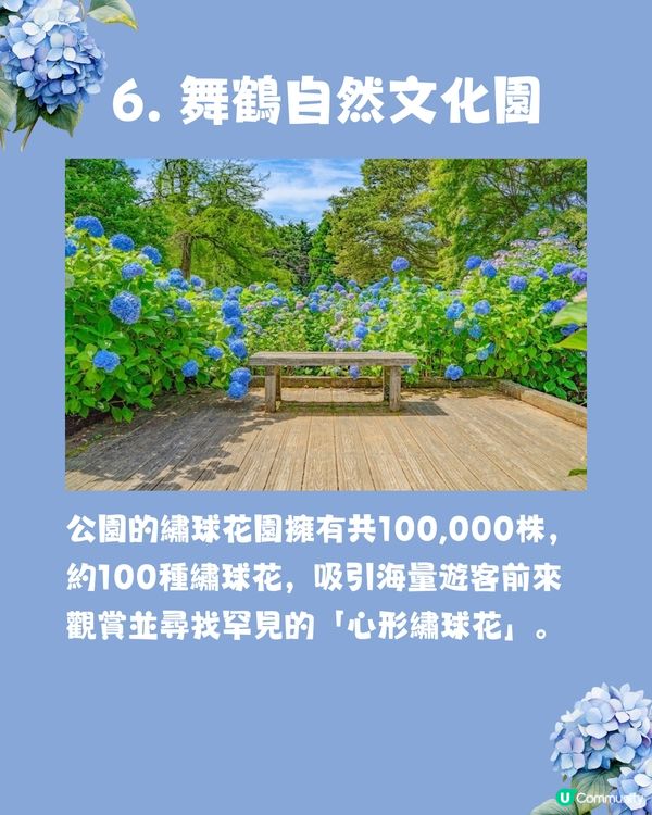 京都7大繡球花觀賞地😍10萬棵繡球花超震撼 西日本最大規模💙