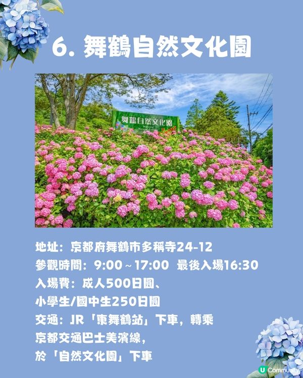 京都7大繡球花觀賞地😍10萬棵繡球花超震撼 西日本最大規模💙