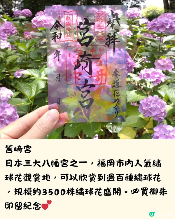 福岡7大繡球花景點💜7萬株盛開超壯觀😍附交通方法🇯🇵