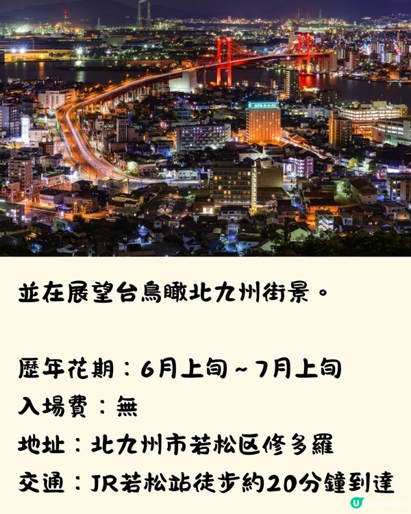 福岡7大繡球花景點💜7萬株盛開超壯觀😍附交通方法🇯🇵