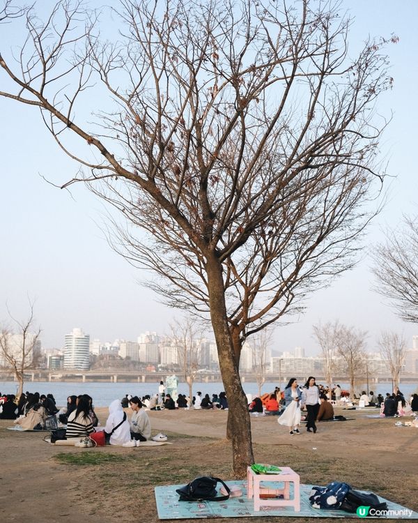 汝矣島漢江公園野餐🧺睇日落🌅😍