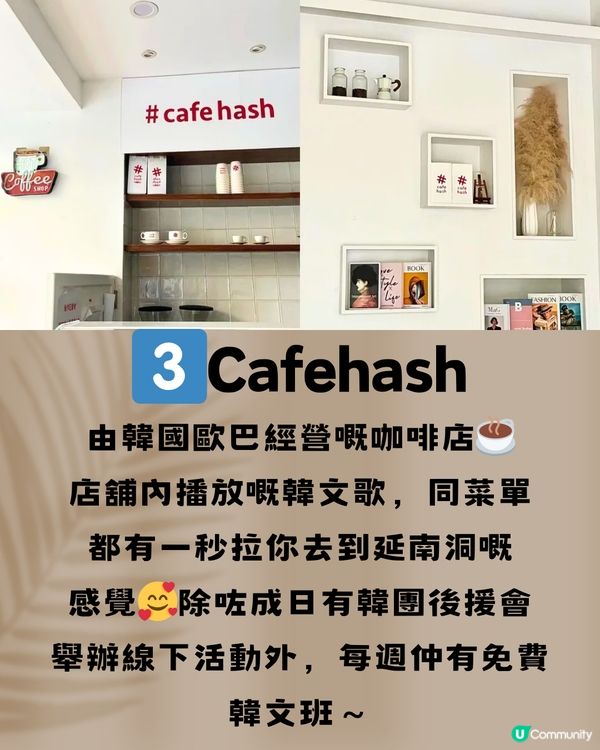 深圳龍華區特色咖啡店☕️8大打卡清單🔖附交通教學🚗