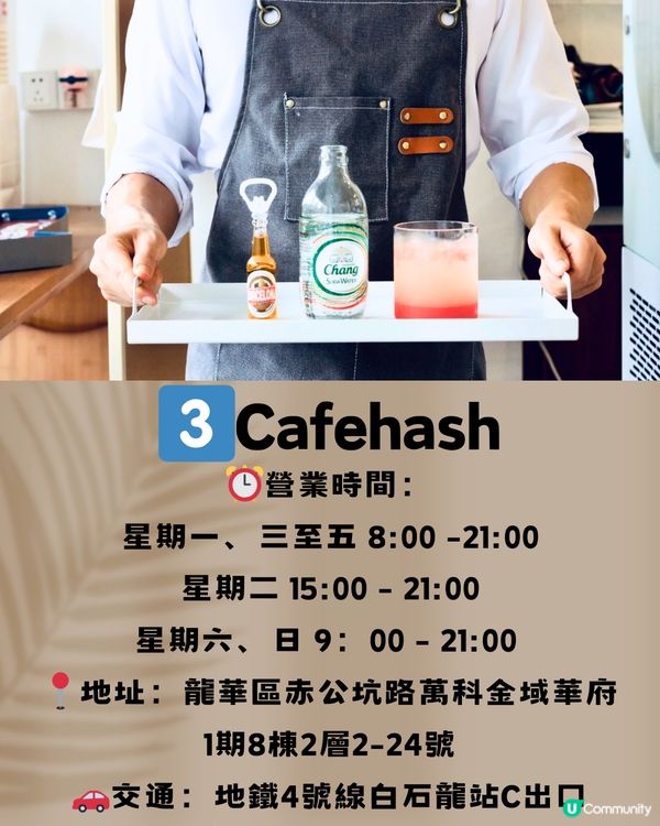 深圳龍華區特色咖啡店☕️8大打卡清單🔖附交通教學🚗