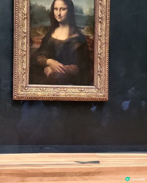 蒙羅麗莎 The Mona Lisa