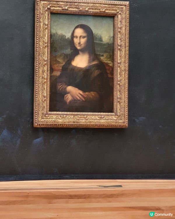 蒙羅麗莎 The Mona Lisa