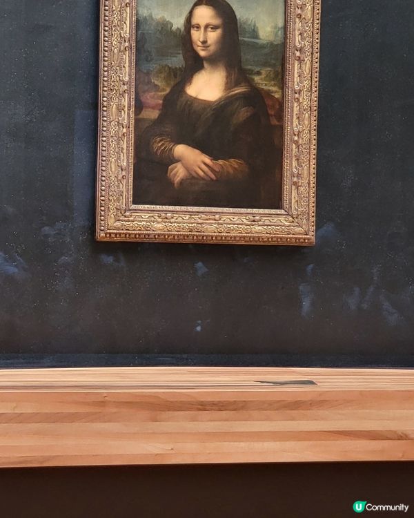 蒙羅麗莎 The Mona Lisa