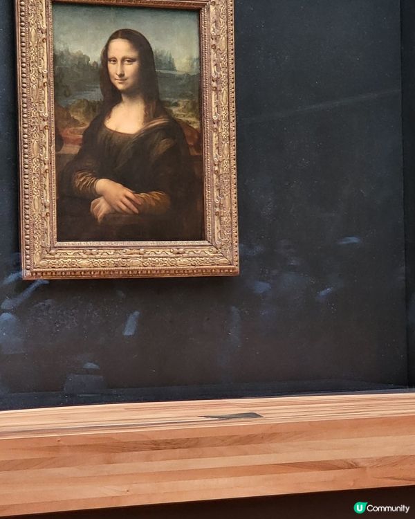 蒙羅麗莎 The Mona Lisa