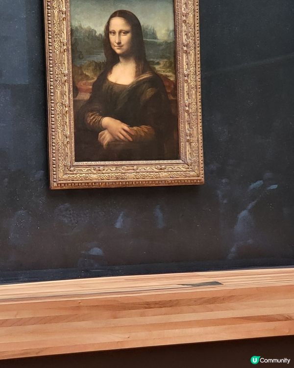 蒙羅麗莎 The Mona Lisa